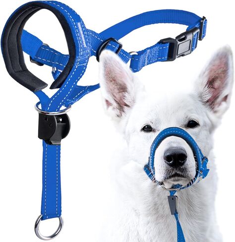 GoodBoy Dog Head Halter with Safety Strap - Stops Heavy Pulling On The Leash - Padded Headcollar for Small Medium and Large Dog Sizes - Head Collar Training Guide Included (Size 2, Black) in Saudi Arabia
