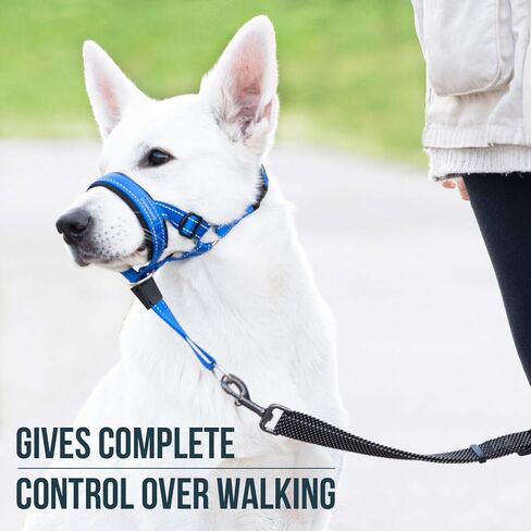 GoodBoy Dog Head Halter with Safety Strap - Stops Heavy Pulling On The Leash - Padded Headcollar for Small Medium and Large Dog Sizes - Head Collar Training Guide Included (Size 2, Black) in Saudi Arabia