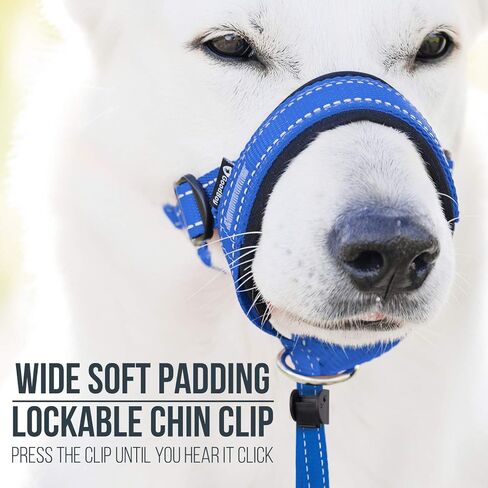 GoodBoy Dog Head Halter with Safety Strap - Stops Heavy Pulling On The Leash - Padded Headcollar for Small Medium and Large Dog Sizes - Head Collar Training Guide Included (Size 2, Black) in Saudi Arabia