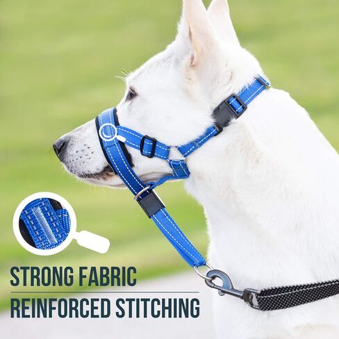 GoodBoy Dog Head Halter with Safety Strap - Stops Heavy Pulling On The Leash - Padded Headcollar for Small Medium and Large Dog Sizes - Head Collar Training Guide Included (Size 2, Black) in Saudi Arabia