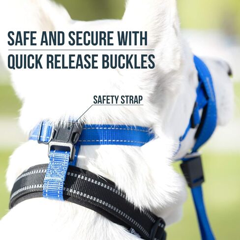 GoodBoy Dog Head Halter with Safety Strap - Stops Heavy Pulling On The Leash - Padded Headcollar for Small Medium and Large Dog Sizes - Head Collar Training Guide Included (Size 2, Black) in Saudi Arabia