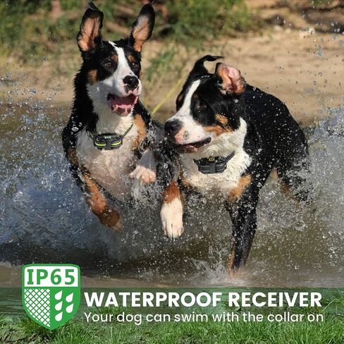 Dog Shock Collar 2 Pack - Dog Training Collar with Remote IP65 Waterproof E Collar for Dogs Training with Shock Vibrate Beep and Light Modes for Small Medium Large Dogs in Kuwait