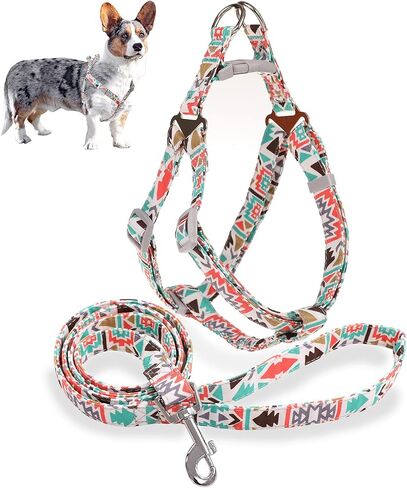 Dog Harness and Leash Set, No Pull Step in Basic Halter Harness for Medium, Small Breed Dogs Cats Blue Totem S in Kuwait