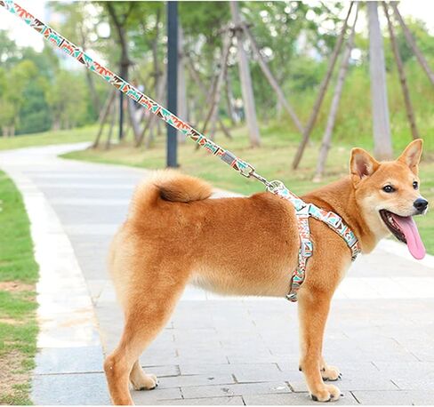 Dog Harness and Leash Set, No Pull Step in Basic Halter Harness for Medium, Small Breed Dogs Cats Blue Totem S in Kuwait