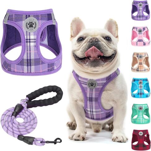 BEAUTYZOO Small Dog Harness and Leash Set, No Pull Puppy Pet Vest- Beige, S in Saudi Arabia