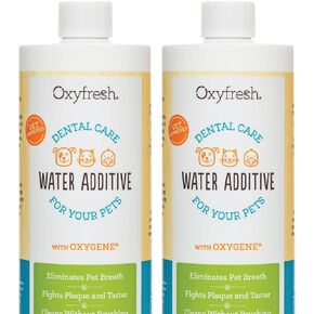 Oxyfresh Premium Pet Dental Care Solution Pet Water Additive: Best Way to Eliminate Bad Dog Breath and Cat Bad Breath - Fights Tartar & Plaque - So Easy, Just Add to Water! Vet Recommended 16 oz. in Saudi Arabia