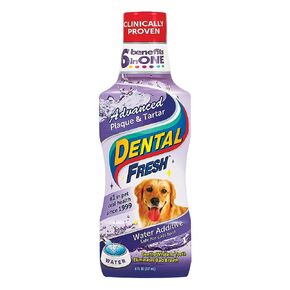 Dental Fresh Advanced Plaque and Tartar Water Additive, 17oz – Dog Teeth Cleaning Formula to Freshen Breath and Improve Cat & Dog Dental Care
