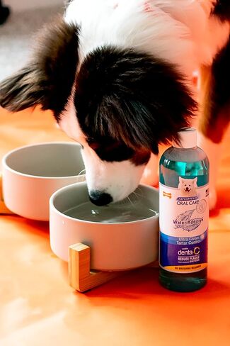 Nylabone Advanced Oral Care Pet Dental Water Additive, Liquid Tartar Remover & Breath Freshener for Dogs, Dog Teeth-Cleaning, Original Flavor, 32 oz. in Kuwait