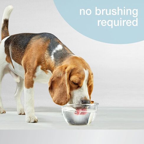 Nylabone Advanced Oral Care Pet Dental Water Additive, Liquid Tartar Remover & Breath Freshener for Dogs, Dog Teeth-Cleaning, Original Flavor, 32 oz. in Kuwait
