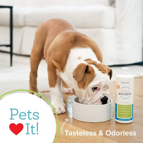 Oxyfresh Premium Pet Dental Care Solution Pet Water Additive: Best Way to Eliminate Bad Dog Breath and Cat Bad Breath - Fights Tartar & Plaque - So Easy, Just Add to Water! Vet Recommended 16 oz. in Saudi Arabia