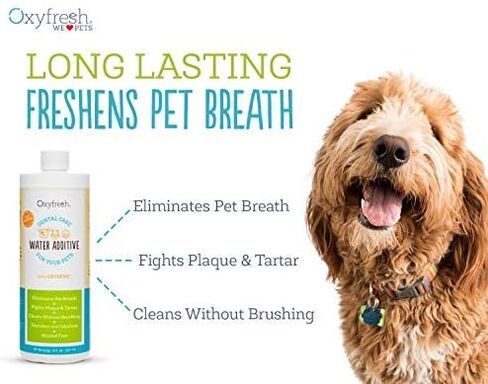 Oxyfresh Premium Pet Dental Care Solution Pet Water Additive: Best Way to Eliminate Bad Dog Breath and Cat Bad Breath - Fights Tartar & Plaque - So Easy, Just Add to Water! Vet Recommended 16 oz. in Saudi Arabia