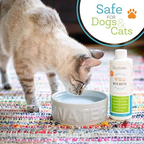 Oxyfresh Premium Pet Dental Care Solution Pet Water Additive: Best Way to Eliminate Bad Dog Breath and Cat Bad Breath - Fights Tartar & Plaque - So Easy, Just Add to Water! Vet Recommended 16 oz. in Saudi Arabia