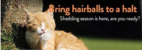 ProSense Pro-Sense Sugar Free Cat Hairball Solutions, Salmon Flavor, 2.5-Ounce in Kuwait