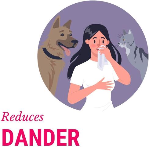 CatFresh Oatmeal Skin & Coat Spray Cleanses & Detangles, Soothes Irritations That Cause Excessive Licking, Chewing & Scratching, Moisturizes & Rejuvenates Skin, Neutralizes Odors & Removes Dander in Kuwait