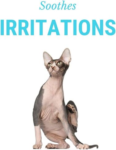 CatFresh Oatmeal Skin & Coat Spray Cleanses & Detangles, Soothes Irritations That Cause Excessive Licking, Chewing & Scratching, Moisturizes & Rejuvenates Skin, Neutralizes Odors & Removes Dander in Kuwait