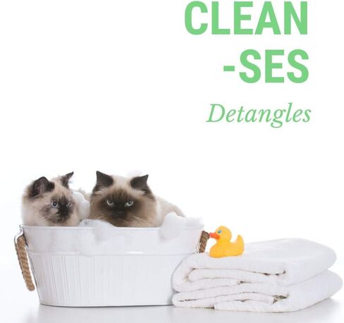 CatFresh Oatmeal Skin & Coat Spray Cleanses & Detangles, Soothes Irritations That Cause Excessive Licking, Chewing & Scratching, Moisturizes & Rejuvenates Skin, Neutralizes Odors & Removes Dander in Kuwait