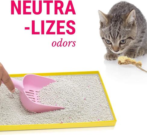 CatFresh Oatmeal Skin & Coat Spray Cleanses & Detangles, Soothes Irritations That Cause Excessive Licking, Chewing & Scratching, Moisturizes & Rejuvenates Skin, Neutralizes Odors & Removes Dander in Kuwait