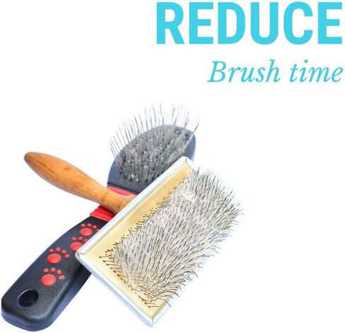 CatFresh Oatmeal Skin & Coat Spray Cleanses & Detangles, Soothes Irritations That Cause Excessive Licking, Chewing & Scratching, Moisturizes & Rejuvenates Skin, Neutralizes Odors & Removes Dander in Kuwait