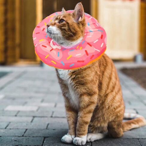 Cat Cone Collar Soft, Cat Recovery Collar Cute Cat Donut Adjustable Elizabethan Cone Cat Cones to Stop Licking Comfortable Lightweight Neck Cone for Cats Kittens After Surgery in Kuwait