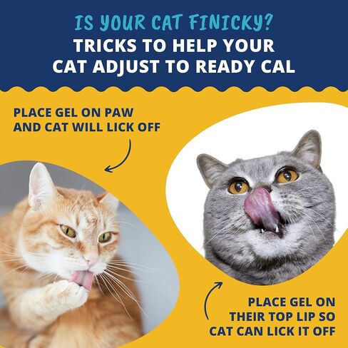 Under The Weather Pet | Ready Cal for Cats 100cc | High Calorie Supplement | Cat Weight Gainer and High Calorie Booster | 10 Vitamins, 7 Minerals & Omega Fatty Acids (for Cats 100cc) in Kuwait