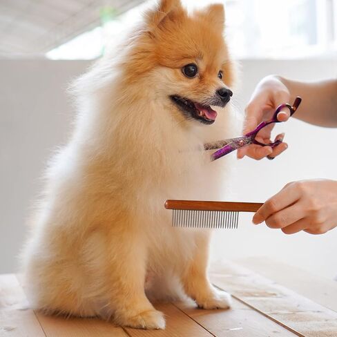 Cat comb WeoDeaeo, Solid Wooden Pet Comb, Dog Comb with Rounded and Smooth Ends Stainless Steel Teeth,Grooming Comb for Cats and Long-hair Dogs,Professional Grooming Comb for Removes Tangles and Knots in Saudi Arabia