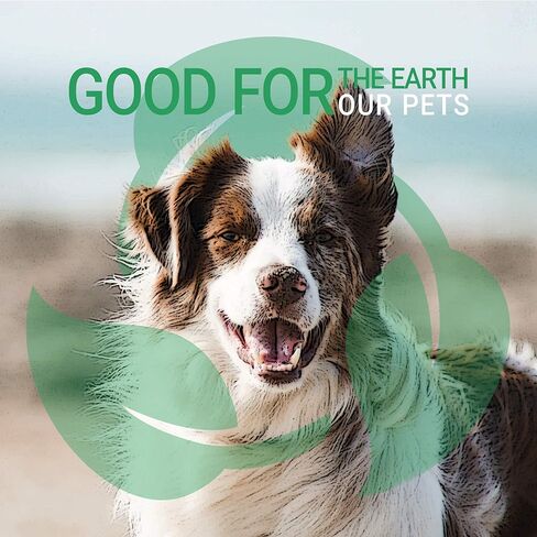 Green Groom Pet Shampoo Plus Conditioner 2 in 1 for Dogs and Cats, 16 oz - Natural Ingredients, Detangles and Moisturizes, Renews Moisture and Hydration, Aids in Dematting in Kuwait