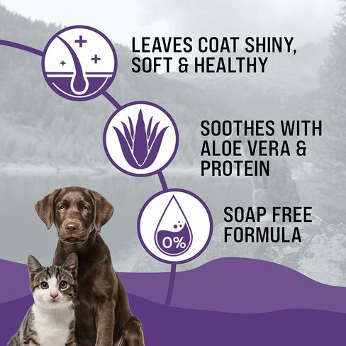شامبو وبلسم دكتور بو البيطري الأساسي GentleCoat بدون دموع - تركيبة خالية من الصابون للجراء والقطط - مستلزمات العناية الشخصية - جميعها طبيعية، والصبار والبروتينات اللطيفة - 16 أونصة سائلة. in Saudi Arabia
