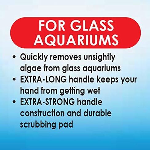API ALGAE SCRAPER For Glass Aquariums 1-Count Container in Saudi Arabia