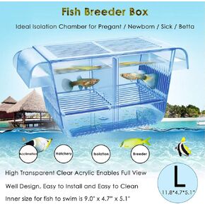 capetsma Fish Breeding Box, Acrylic Fish Isolation Box with Suction Cups, Aquarium Acclimation Hatchery Incubator for Baby Fishes Shrimp Clownfish and Guppy... Small Size (S)