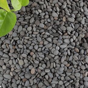 Black Rock, CJGQ 18lb River Rocks Pebbles for Plants Succulents, Decorative Outdoor Landscaping Garden Rocks, Natural Small Mexican Beach Pebbles Aquarium Rocks Gravel for Fish Tanks Vase Yard Decor in Saudi Arabia