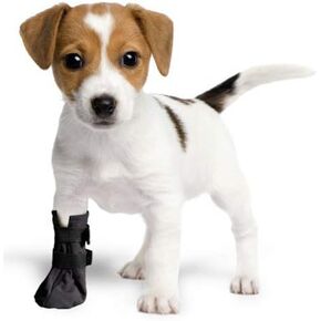 حذاء تعافي الجروح للكلاب. يحمي ويشفي مخلب. مصنوعة من مادة ناعمة ومقاومة للماء وجيدة التهوية. الموصى بها من قبل الأطباء البيطريين. (كبير، أسود) in Kuwait