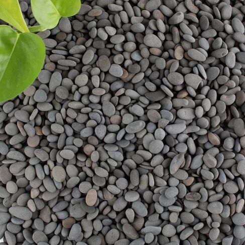 الصخور السوداء، cjgq 18lb نهر الصخور الحصى للنباتات العصارة، ديكور المناظر الطبيعية في الهواء الطلق حديقة الصخور، الطبيعية الصغيرة المكسيكية الشاطئ الحصى حوض السمك الصخور الحصى لخزانات الأسماك مزهرية ساحة الديكور in Kuwait