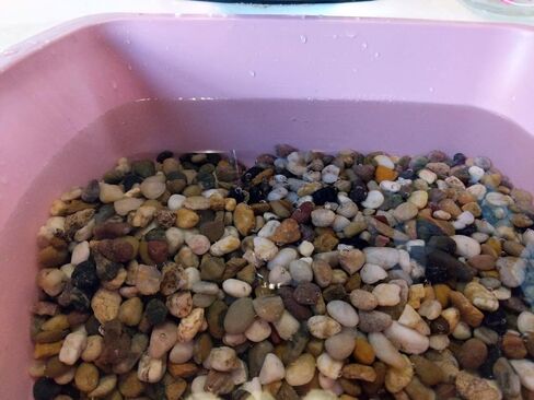 Voulosimi 12 LBS River Rock Stones, Natural Decorative Polished Mixed Pebbles Gravel,Outdoor Decorative Stones for Plant Aquariums, Landscaping, Vase Fillers in Saudi Arabia
