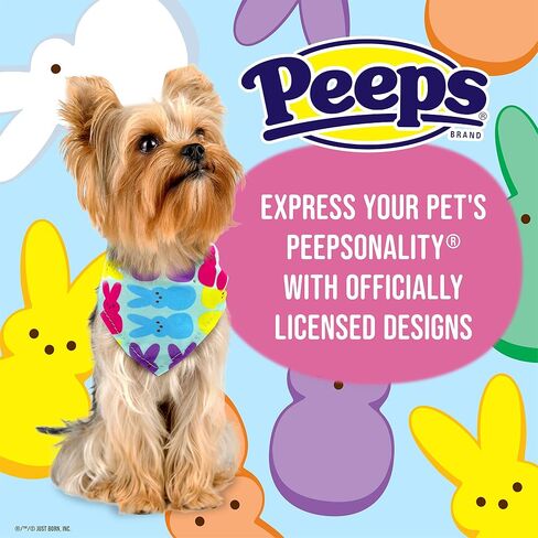 Chick Rainbow Print Dog Bandana, X-Small/Small | Small Dog Bandana Officially Licensed Peeps Pet Product | Cute, Soft, Machine Washable Dog Apparel & Accessories for All Dogs (FF10308) in Saudi Arabia