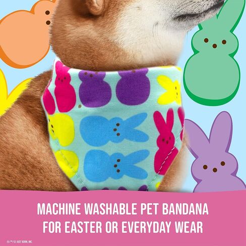 Chick Rainbow Print Dog Bandana, X-Small/Small | Small Dog Bandana Officially Licensed Peeps Pet Product | Cute, Soft, Machine Washable Dog Apparel & Accessories for All Dogs (FF10308) in Saudi Arabia