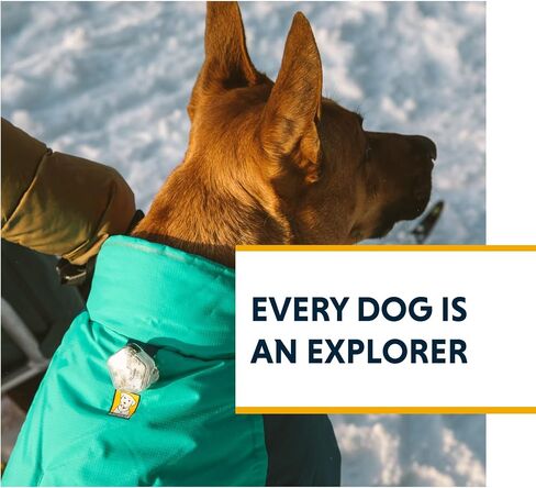 Ruffwear, Vert Dog Winter Jacket, Waterproof & Insulated Coat for Cold Weather, Mineral Yellow, Large in Saudi Arabia