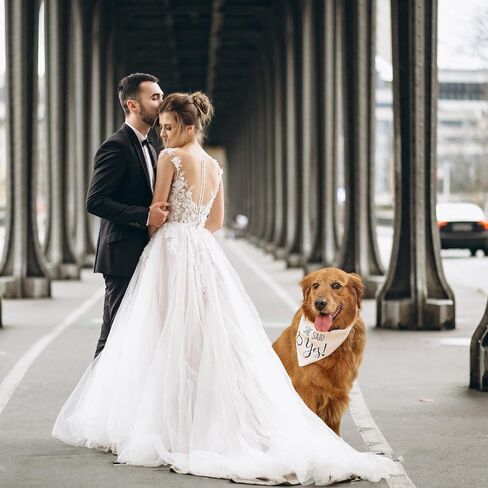 عبوتان من باندانا هدية الخطوبة للكلاب، My Humans يتزوجون She Say Yes Pet وشاح، هدايا لإعلان الزفاف in Saudi Arabia