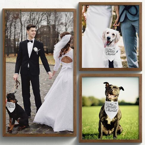 Engagement Gift, My Humans are Getting Married Dog Bandana, Wedding Photo Prop, Pet Scarf, Dog Engagement Announcement, Pet Accessories (Black) in Saudi Arabia