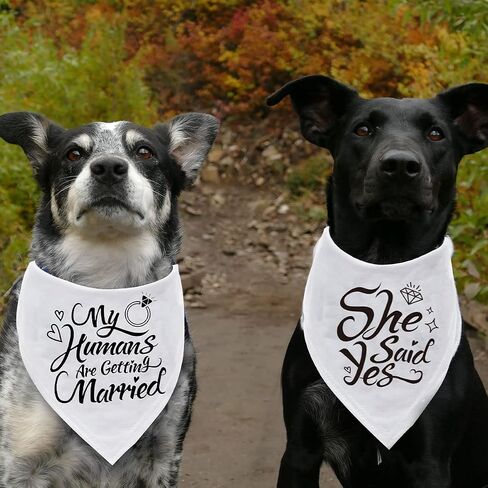 Engagement Gift, My Humans are Getting Married Dog Bandana, Wedding Photo Prop, Pet Scarf, Dog Engagement Announcement, Pet Accessories (Black) in Saudi Arabia