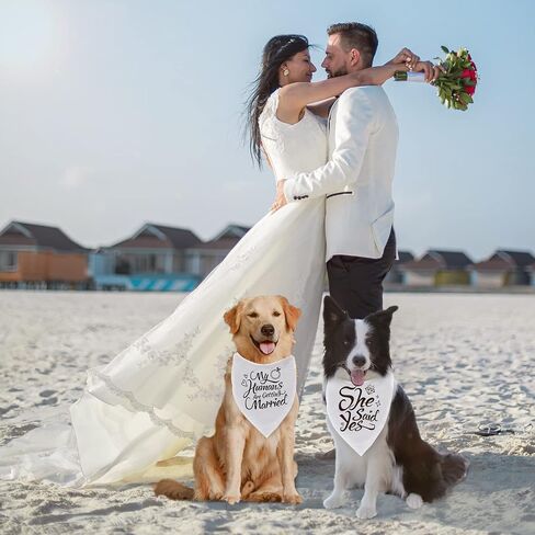 Engagement Gift, My Humans are Getting Married Dog Bandana, Wedding Photo Prop, Pet Scarf, Dog Engagement Announcement, Pet Accessories (Black) in Saudi Arabia
