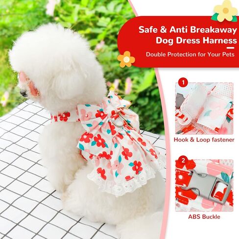 ABRRLO لطيف الأزهار الكلب تسخير اللباس والمقود مجموعة للكلاب الصغيرة القطط فتاة جرو Bowknot الأميرة عيد ميلاد اللباس الصيف الإناث الحيوانات الأليفة كلب صغير الملابس الدانتيل الكلب هريرة ملابس الملابس (الأخضر، L) in Kuwait