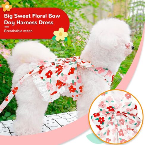 ABRRLO لطيف الأزهار الكلب تسخير اللباس والمقود مجموعة للكلاب الصغيرة القطط فتاة جرو Bowknot الأميرة عيد ميلاد اللباس الصيف الإناث الحيوانات الأليفة كلب صغير الملابس الدانتيل الكلب هريرة ملابس الملابس (الأخضر، L) in Kuwait