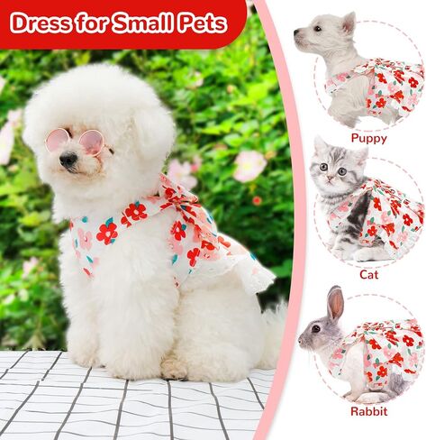 ABRRLO لطيف الأزهار الكلب تسخير اللباس والمقود مجموعة للكلاب الصغيرة القطط فتاة جرو Bowknot الأميرة عيد ميلاد اللباس الصيف الإناث الحيوانات الأليفة كلب صغير الملابس الدانتيل الكلب هريرة ملابس الملابس (الأخضر، L) in Kuwait