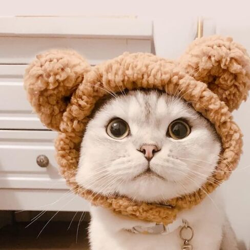 JOICEE Cute Cat Costume Warm Bear Hat Adjustable Small Pet Headwear for Cat in Kuwait