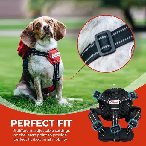 Balbari Dog Backpack Harness (Sky Blue, Medium) (Sky Blue, Medium) in Kuwait