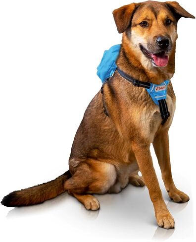 Balbari Dog Backpack Harness (Sky Blue, Large) (Sky Blue, Large) in Kuwait