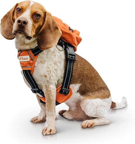 Balbari Dog Backpack Harness (Orange, Medium) in Kuwait