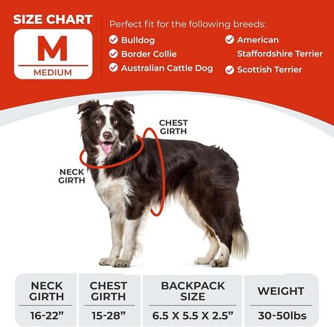 Balbari Dog Backpack Harness (Orange, Medium) in Kuwait