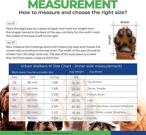 حذاء طبي للكلاب من Healers Petcare، وحدة واحدة - أزرق، مقاس XL in Kuwait