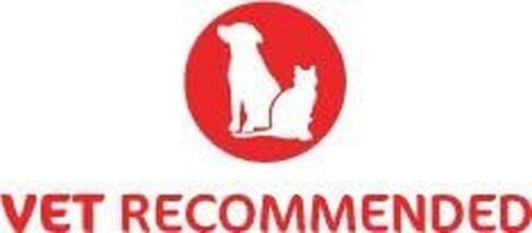 حذاء تعافي الجروح للكلاب. يحمي ويشفي مخلب. مصنوعة من مادة ناعمة ومقاومة للماء وجيدة التهوية. الموصى بها من قبل الأطباء البيطريين. (كبير، أسود) in Kuwait